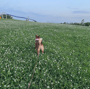 人間からの解放。ロングリードのすすめ