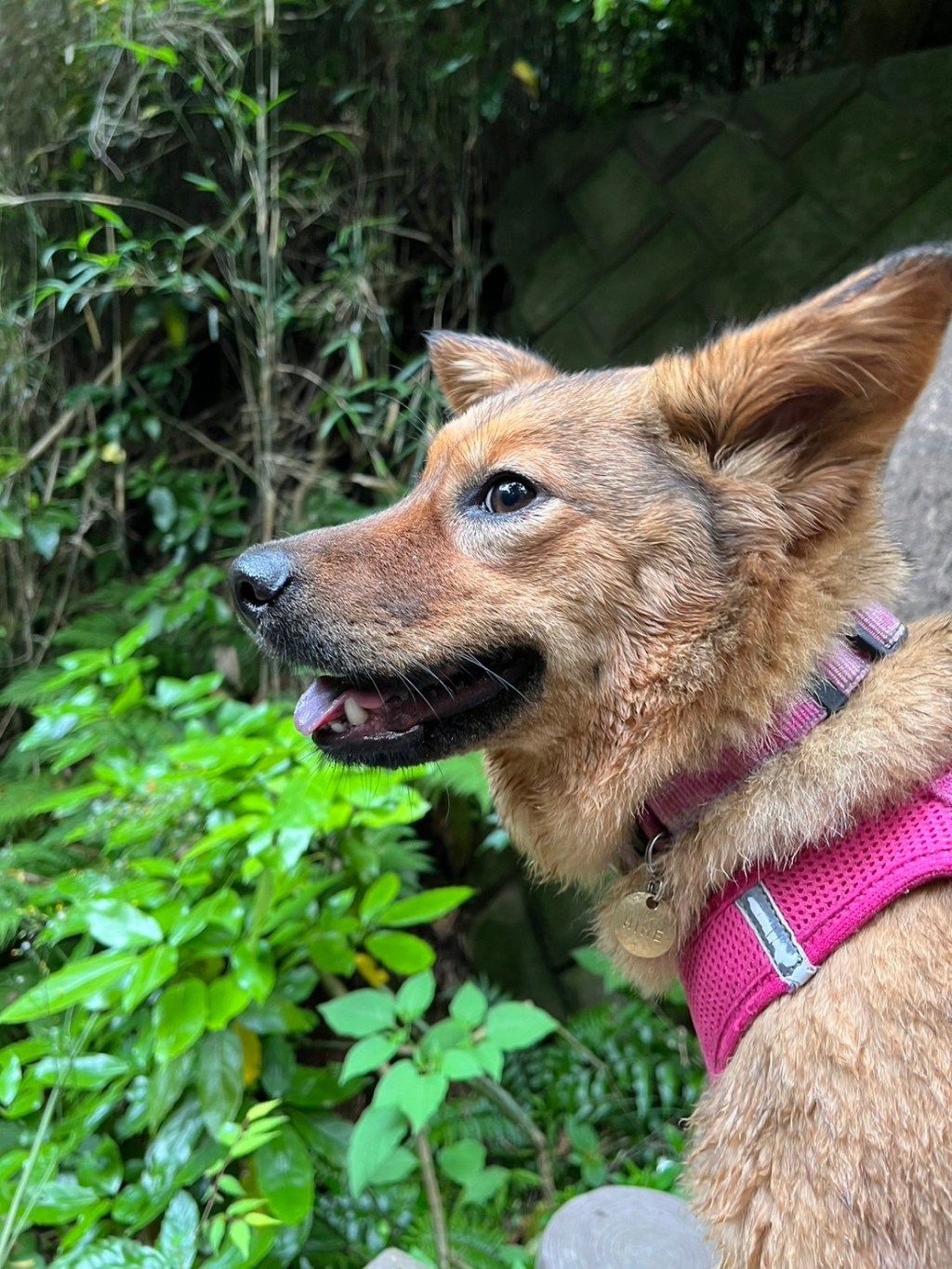 【NEW！】AirTagの後日談